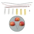thumbnail image 6 of Potato Electricity Experiments Toys Educational Toys for Kids Children Girls Bulb, 6 of 8