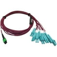 thumbnail image 2 of Tripp Lite Multimode Fiber Optic Breakout Cable 16F MTP/MPO-APC to x8 LC F/M 3M, 2 of 4