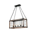 thumbnail image 1 of Viva Lifestyle Lighting Black Iron Frame Ceiling Fixture (DU115), 1 of 1