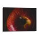 thumbnail image 1 of Cuadro decorativo - Apple, Juliana Estrada 45x30 Canvas Lab Alimentos, Cocina (comida y bebidas),, 1 of 2