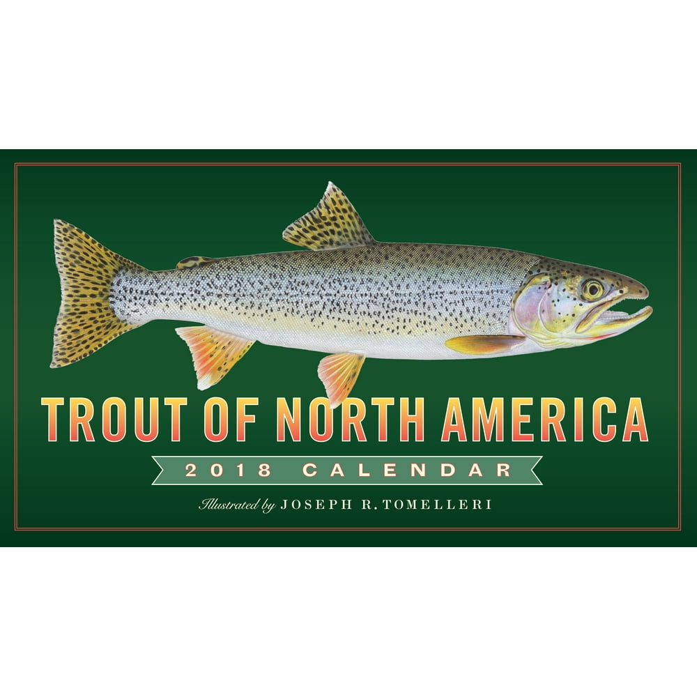 Trout of North America Wall Calendar 2018 (Calendar)