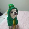 thumbnail image 4 of Christmas Tree Dog , Hooded Pet Pajamas Outfit with Tree Pattern, Warm Winter Coat for Small Dogs Cats, Festive Holiday Apparel for Parties & Daily Wear, L, 4 of 4