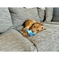 thumbnail image 3 of Nylabone Puppy Chew Freezer Bone Cloth Puppy Toy, Rubber Teething Chew Toy, Bacon Flavor, Small, 1 Count, 3 of 13