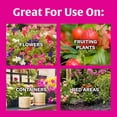thumbnail image 4 of Super Bloom Water Soluble Plant Food, 2 lb - NPK 12-55-6 - Fertilizer for Outdoor Flowers, Fruiting Plants, Containers and Bed Areas - Feeds Plants Instantly, 4 of 5