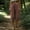 A_ Coffee, variant on Women's Linen Blend Harem Capri Pants, Elastic Waist Drawstring Cuff Harem Pants with Pockets for Festival Wear Coffee XL