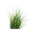thumbnail image 4 of Monarch Artificial Plant, 23 Tall, Grass, Indoor, Faux, Fake, Table, Greenery, 4 of 6