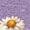 Purple, variant on UNISHE Womens Purple Watercolor Bee Daisy Print V Neck Short Sleeve T-Shirt Fresh Floral Casual S-5XL Tops
