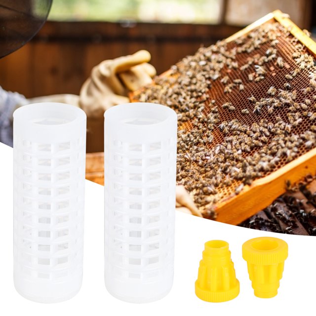 Jaula de plástico Jadeshay Juego de apicultura Taza de cría de abejas