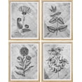 thumbnail image 2 of PixonSign Framed Wall Art Black Botanical Flower Abstract Prints, Set of 4 Nature Wildernes Paintings, Farmhouse Rustic Wall Décor, Adhesive Canvas Poster for Home Decor - 12"x16" Natural, 2 of 5