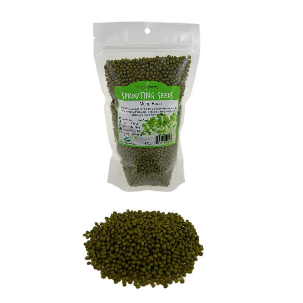 Mung Bean Sprouting Seed Organic 1 Lbs Dried Mung Beans for Sprouts, Garden Planting