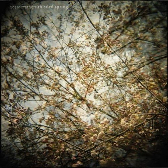 Horse Feathers - Thistled Spring - Rock - Vinyl