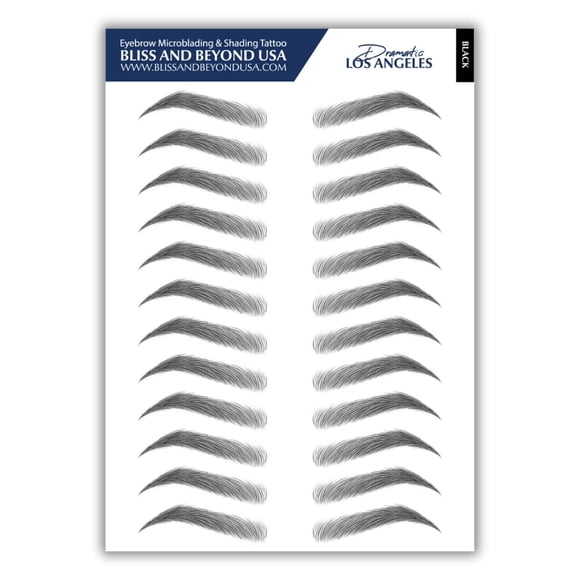 Microblading & Shading Tattoo Bliss and Beyond Dramatic Black