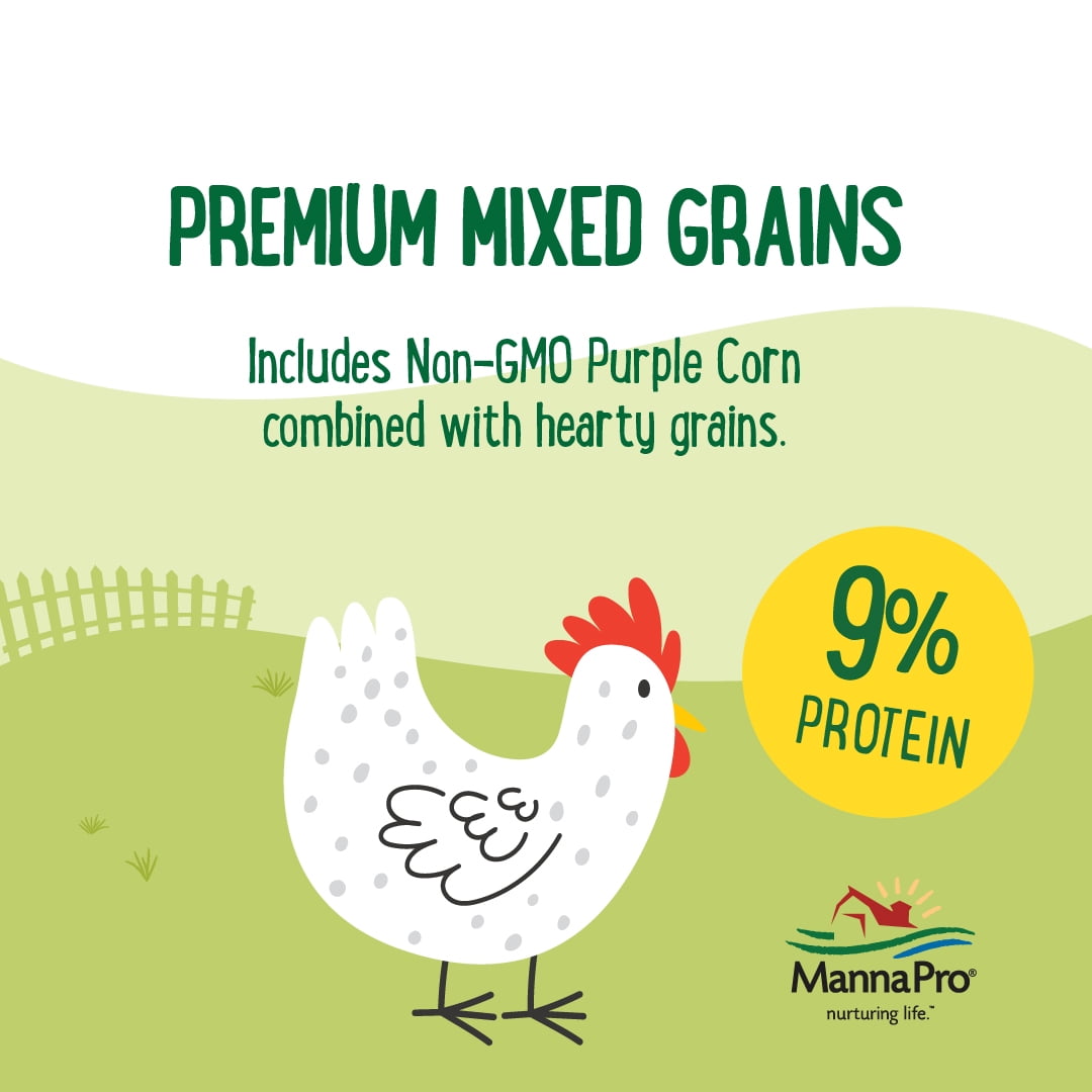 (3 pack) Manna Pro Farmhouse Favorites Chicken Treats - Sunflower Mix up - 1 Bag -10lb.
