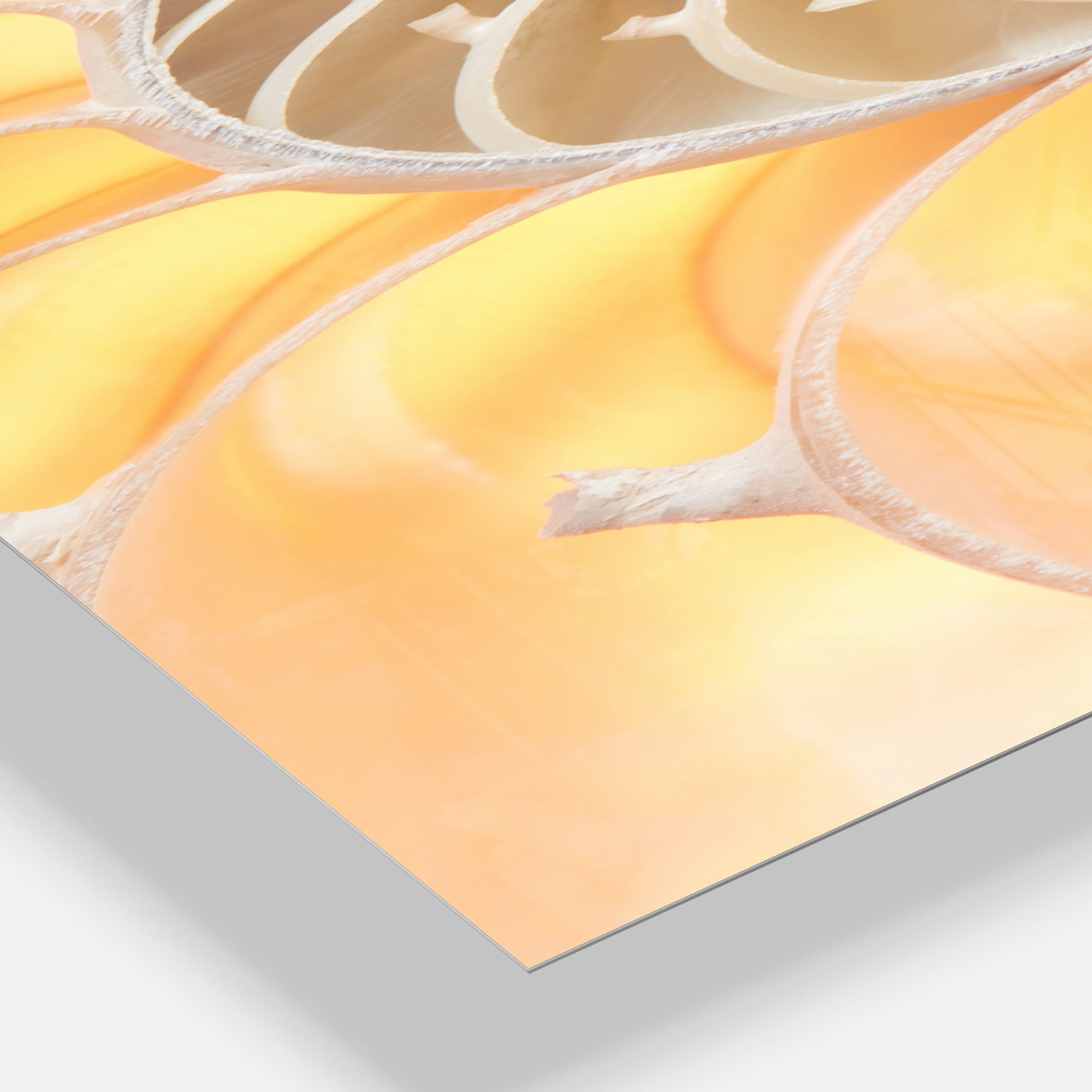 Designart 'Golden Nautilus Shell Pattern' Modern Wall Clock