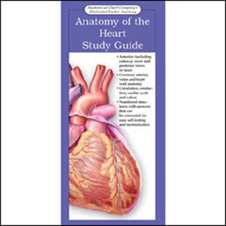 UPC: 9781587795695 | Illustrated Pocket Anatomy: Heart Study Guide: (laminated Card  Single Copy  No Tab)