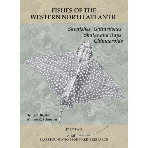 Fishes of the Western North Atlantic Sawfishes, Guitarfishes, Skates and Rays, Chimaeroids: Part 2, (Paperback)