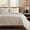 Birch-Queen (92" x 96"), variant on Indigo Blue Queen (92" x 96") 3-Piece Medallion Quilt Bedding Set