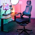 thumbnail image 4 of Desky Pro+ Chaise Ergonomique - Noir, 4 of 10