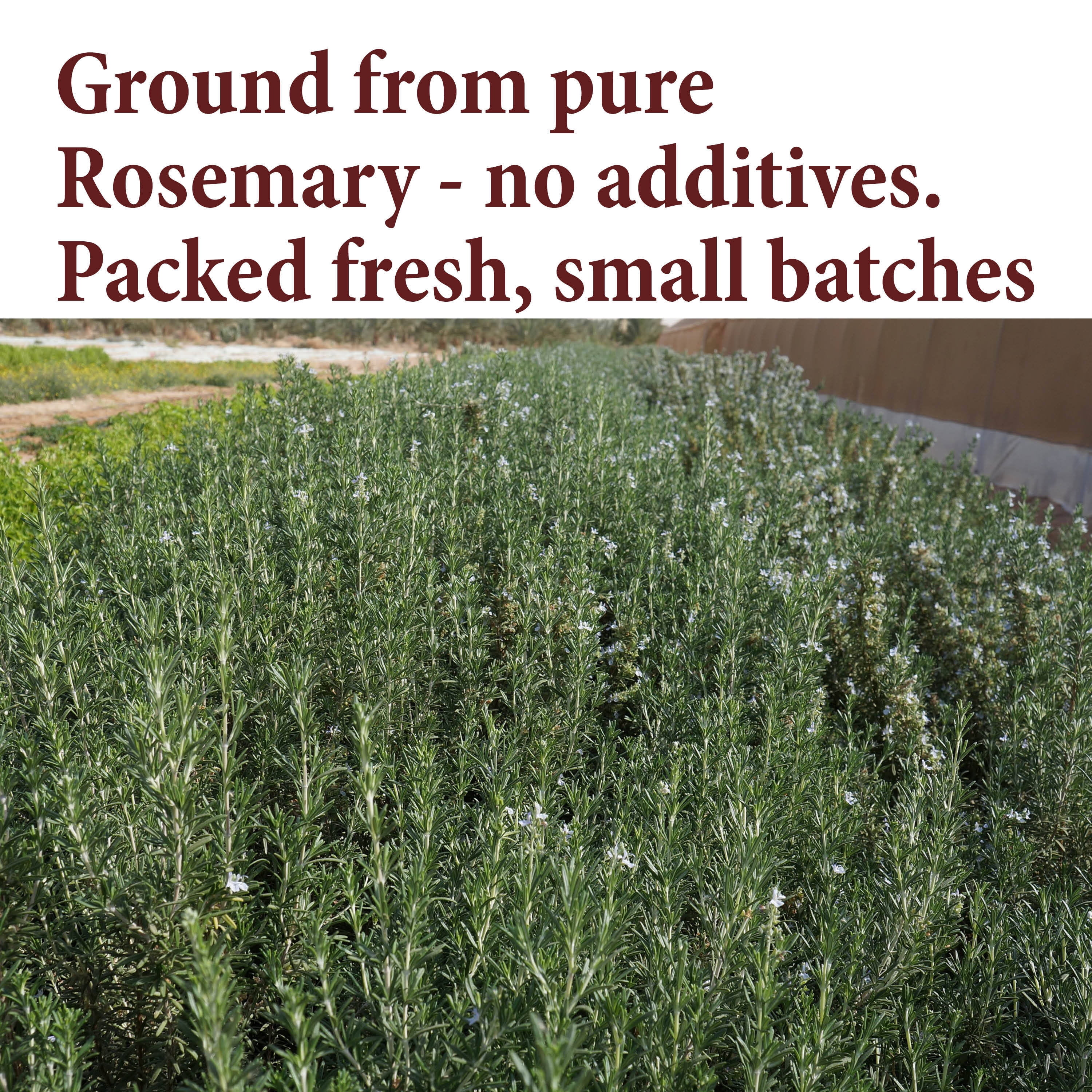 The Spice Way Ground Rosemary – European & Middle Eastern Cuisine - All Natural and Dried – Pure Ground Leaves – Vegan & Keto Friendly – Resealable Pouch – 32 oz