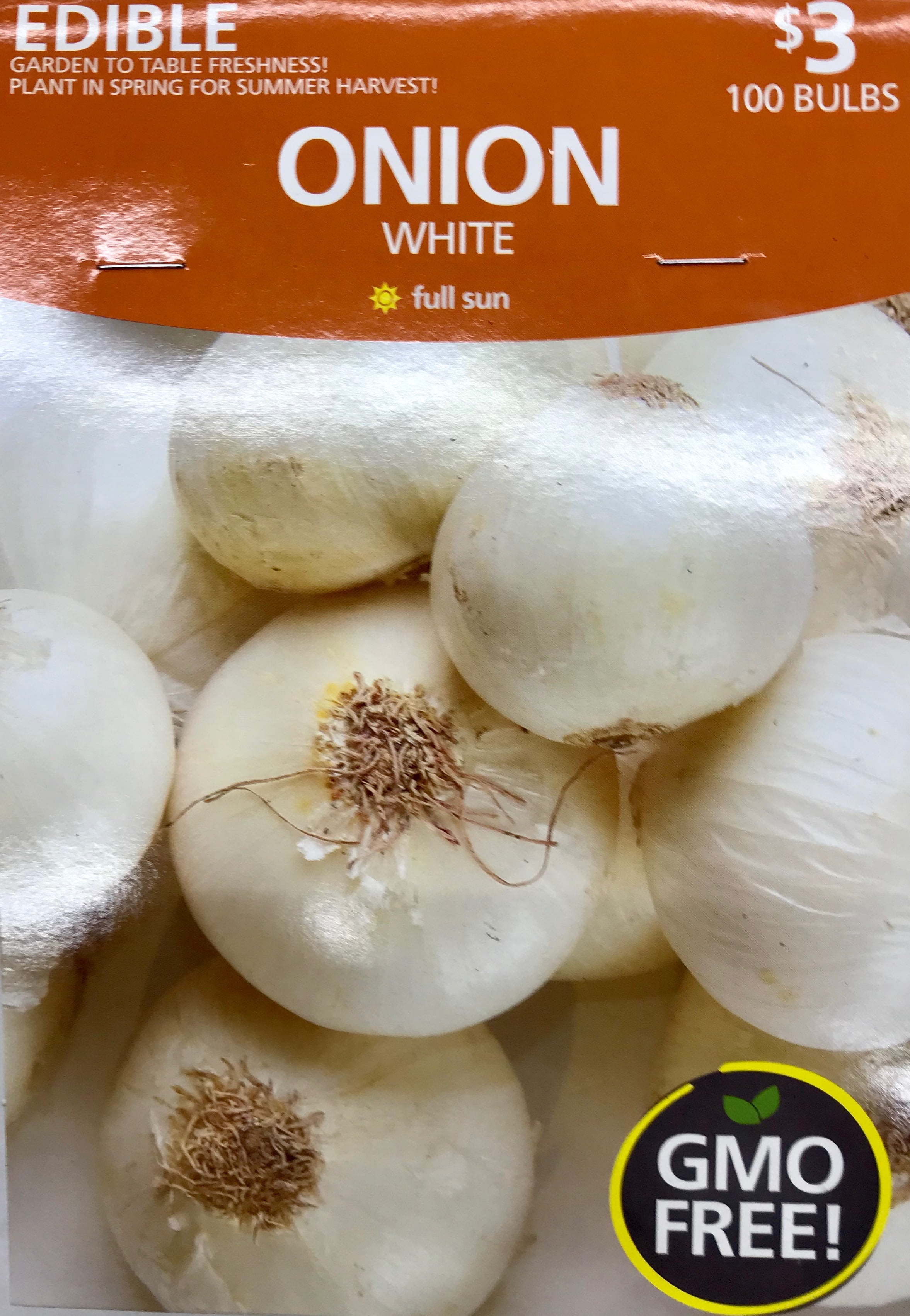 Onion Sets White