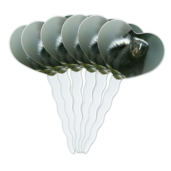 Curious Skunk Heart Love Cupcake Picks Toppers Decoration Set of 6