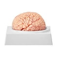 thumbnail image 3 of Professional 9-Part Human Brain Model, 1:1 Life Size Anatomically Accurate Detachable Brain with Detailed Labeling, Ideal for Neuroscience Research, Teaching, Learning and Display, 3 of 9