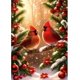 thumbnail image 1 of (30x40cm) Kit De Pintura De Diamantes De Pájaros De Navidad Para Adultos, Kit De Pintura De Diamantes De Navidad, Kit De Arte De Diamantes De Animales De Diamante Completo Redondo 5d Diy Para Ho, 1 of 5