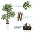 thumbnail image 3 of Ataucjin Ficus Artificial Tree 5ft Tall Fake Ficus Tree for Home Decor,Tall Faux Floor Plant with White Tall Planter -Fake Plants for Home Decor Indoor with 3 Natural Trunks & White-Edged Leaves, 3 of 9