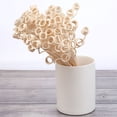 thumbnail image 4 of MasteelfCA 20pcs Rattan Reed Sticks Spiral Head Natural Fragrance Roll Reed Diffuser Aroma Oil Diffuser Rattan Sticks (Light Yellow), 4 of 7