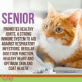thumbnail image 3 of Licks Pill-Free Senior Cat - Joint Support & Digestion Supplement for Senior Cats - Immunity Vitamins & Heart Health Supplements for Older Cats - Gel Packets - 30 Use, 3 of 7