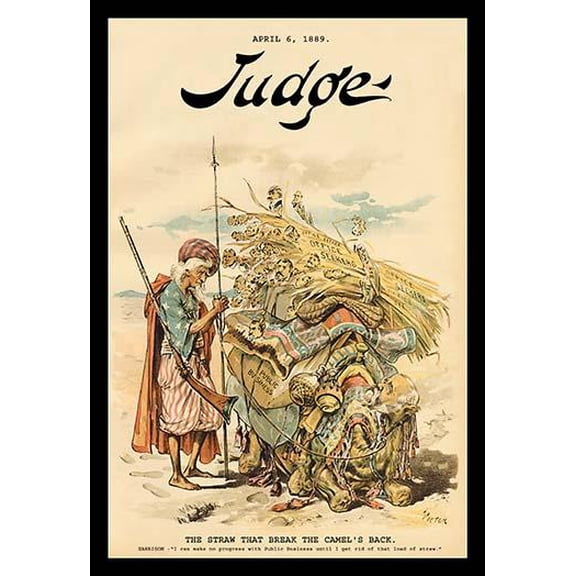 Judge Magazine: The Straw that Broke the Camel's Back- Fine Art Canvas Print (20" x 30")