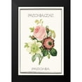 thumbnail image 2 of Waltz, Anne 17x24 Black Modern Framed Museum Art Print Titled - Paeno rose, 2 of 5