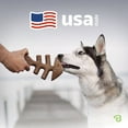 thumbnail image 5 of Benebone Fishbone Durable Dog Chew Toy for Aggressive Chewers, Real Fish, Small, 5 of 6