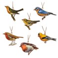 thumbnail image 1 of Ensemble de 6 Ornements d'Oiseaux Colorés Assortis, 1 of 1