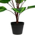 thumbnail image 4 of Northlight Two-Tone Calathea Artificial Potted Plant - 30", 4 of 6