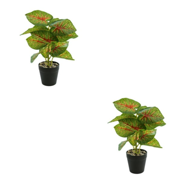 Advancent Planta en maceta de tortuga ecológica, plantas artificiales de bajo mantenimiento para decoración de balcón, sala de estar JH5474 JH5474 2Conjunto