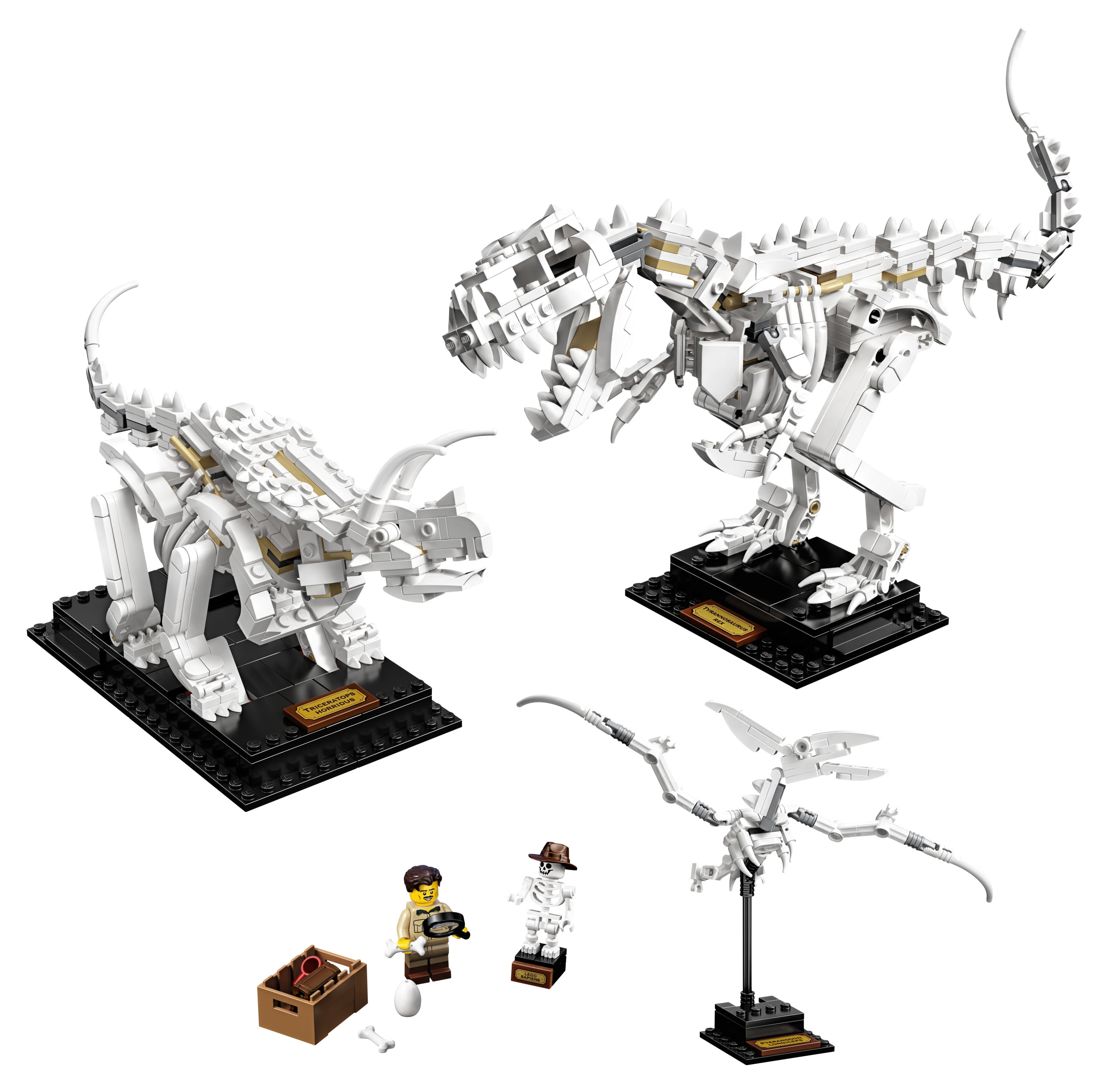 LEGO Ideas 21320 Dinosaur Fossils Building Kit Walmart.com