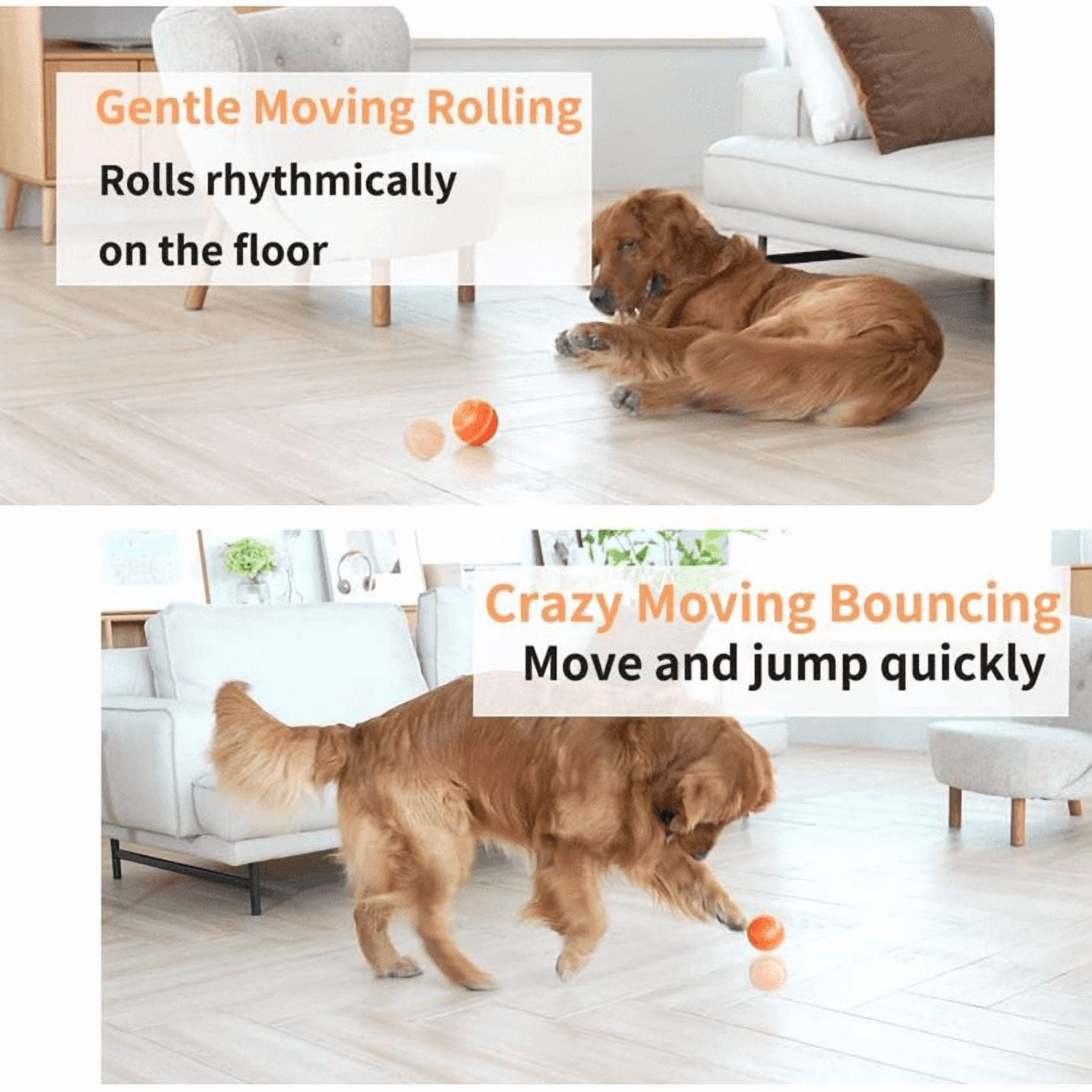 Interactive Dog Toys Ball, Active Wicked Dog Ball with Remote ~, Automatic Rolling Bouncing Dog Ball with Light, for Puppy/Small/Medium Dogs, USB Rechargeable, Fun and Engaging Gift