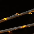 thumbnail image 3 of Northlight Set of 6 Prelit LED Artificial Branch Spray 6' - Gold Lights, 3 of 3