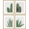 thumbnail image 3 of PixonSign Framed Wall Art, Green Cactus Snake Plant Posters, Set of 4 Collage Desert Landscape Prints Wall Decor, Nature Wilderness Artwork Wall Décor for Living Room, Bedroom - 11"x14" Natural, 3 of 5