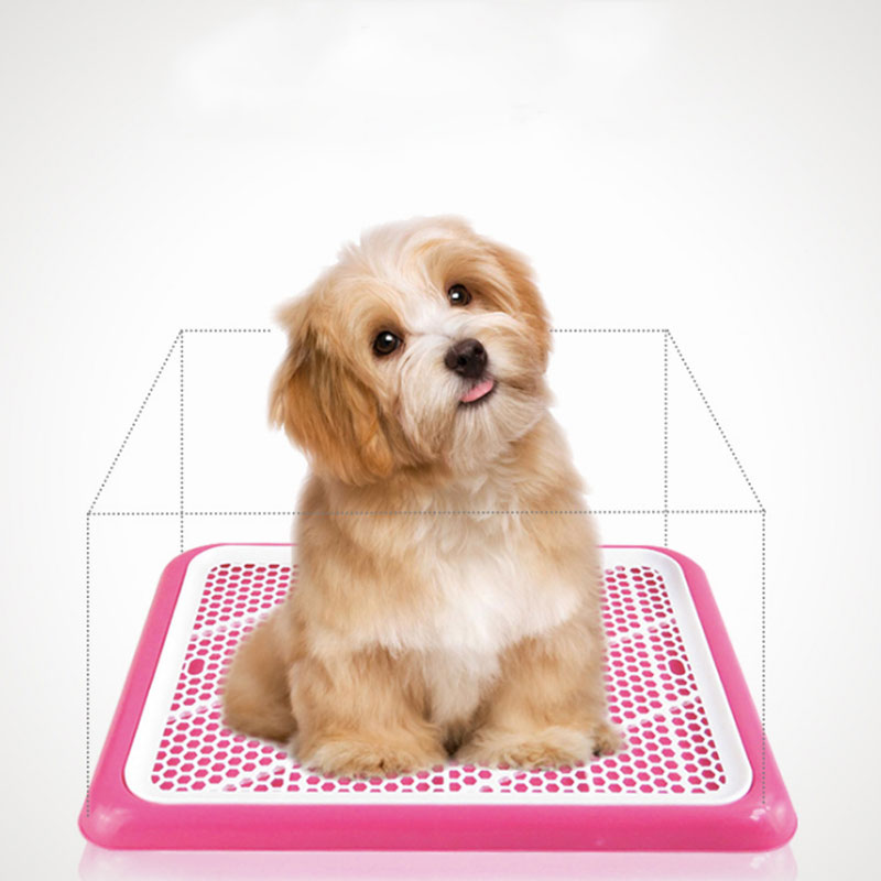 How Do You Train A Puppy To Pee And Poop On A Pad