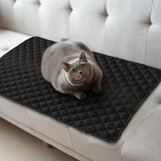Sofa Mat Con Silla, Cojín, Refrescante Para Perros, Estilo Exterior, Impermeable, Plegable, Terciopelo, Para Jardin,Wsvlmg
