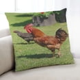 thumbnail image 1 of Ahgly Company Animaux Poulet Coussin Décoratif d'Intérieur, 18 Po X 18 Po, 1 of 6