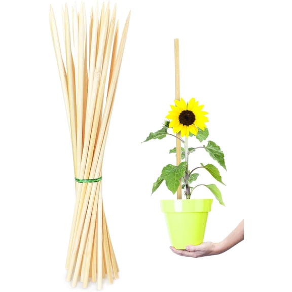 Bamboo Plant Stakes, 18'' Bamboo Sticks for Plants, Floral Plant Support Stakes, Wooden Sign Posting Garden Bamboo Sticks, 18 Inches 25 Pack