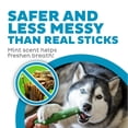 thumbnail image 3 of Juguetes masticables para perros Outward Hound, madera de cornejo duradera, paquete de 2, 3 of 7