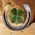 thumbnail image 5 of Spring Savings! Irish Four Leaf Clovers Souvenirs Christmas OrnamentsCrafting Horseshoe Door Wall Art Decor Pocket Symbols Funny Gifts, Green, 5 of 6
