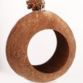 thumbnail image 4 of Parrot Swing To Natural Coconuts Shell Bird Nest Bird Parrot Hanging Accessories, 4 of 8