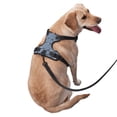 thumbnail image 3 of Lsque Cute Whale Dog Harness, No-Pull Pet Harness with 2 Leash Clips, Adjustable Soft Padded Dog Vest with Easy Control Handle for Large Dogs-Large, 3 of 9