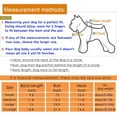 thumbnail image 4 of 4PCS pet suit Teddy Chihuahua polo shirt Teddy Golden Retriever suit puppy suit, 4 of 6