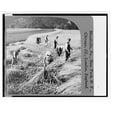 thumbnail image 2 of Historic Framed Print, Cutting rye near Schwarza, Germany, 17-7/8" x 21-7/8", 2 of 9